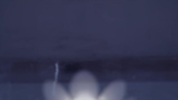 Белая Бумажная Лампа Форме Цветочной Люстры Свисающей Потолка Входящей Нефокусирующейся — стоковое видео