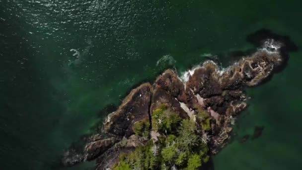 Drohnenaufnahmen Eines Schönen Leeren Strandes Mit Blauem Wasser Westküstenlandschaften Von — Stockvideo