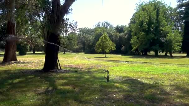 Lawn Sprinkler Park — Stock Video