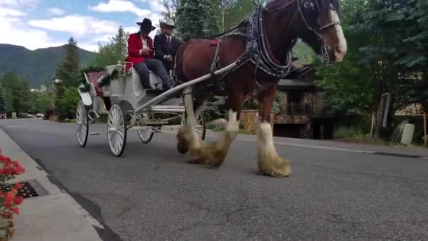 Footage Horse Carriage Vail Colorado — стоковое видео