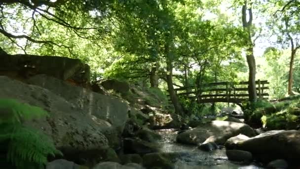 Natočeno Krásné Krajině Okrese Záběry Řeky Tekoucí Mezi Stromy Světlem — Stock video