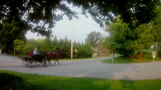 Amish Szállítás Típusa Flat Wagon — Stock videók