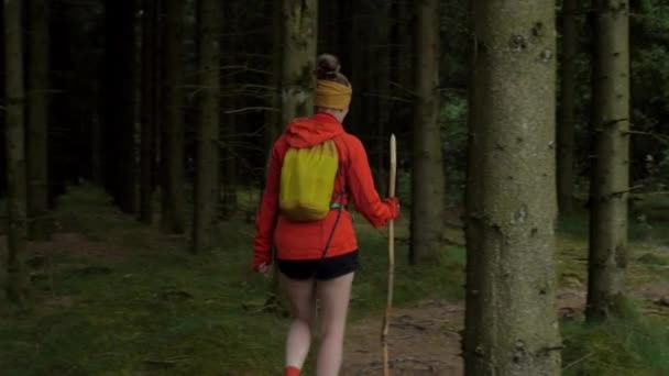 Vrouwelijke Wandelaar Loopt Een Pad Het Bos Camera Pan Van — Stockvideo