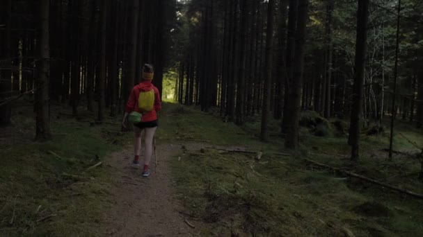 Kvinnlig Vandrare Promenader Stig Skogen Flytta Skott Kamera Spårning Dolly — Stockvideo