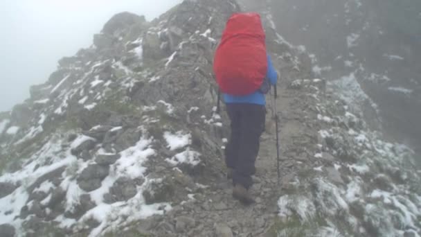 Picos Rocosos Alpinos Paisaje Una Montaña Eslovaca Tatra Steadicam Movimiento — Vídeos de Stock