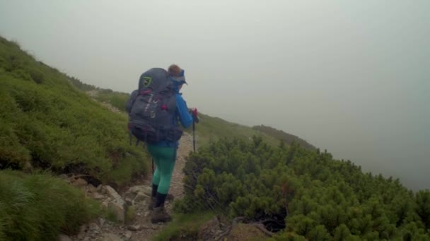 Rotsachtige Bergtoppen Landschap Van Een Slowaakse Tatra Bergen Steadicam Bewegende — Stockvideo