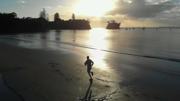 Cinematic Aerial Tracking Shot Silhouetted Young Man Running Beach Auckland — Stock Video