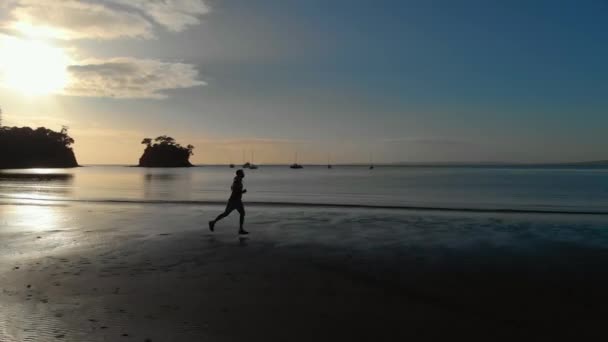 Aerial Spårning Skott Silhuett Ung Man Som Kör Strand Auckland — Stockvideo