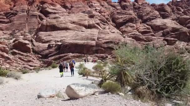 Parc National Canyon Red Rock — Video