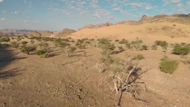 Volo Panoramico Basso Sulla Splendida Savana Punteggiata Alberi Sole Del — Video Stock