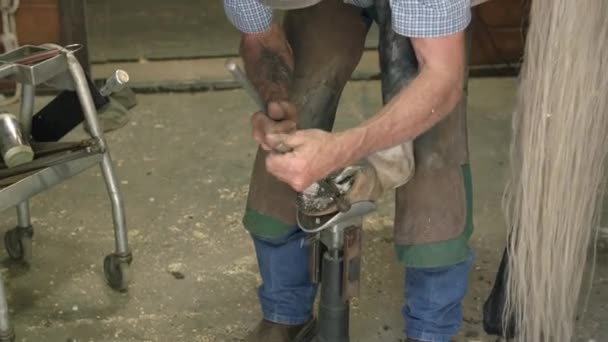 Farrier Clips Horse Shoes Barn — Stock Video