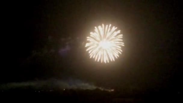 Boldog Évet Timelapse Gyönyörű Tűzijáték — Stock videók