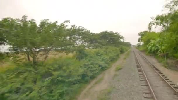Рисові Поля Південної Америки Погляду Поїзда — стокове відео
