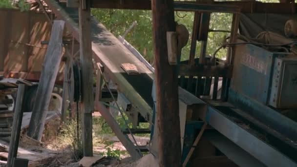 Fazlalık Kereste Saw Mill Taşıyıcı Şerit Yukarı Seyahat Ediyor — Stok video