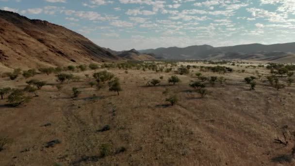 Lage Schilderachtige Vlucht Prachtige Savanne Bezaaid Met Bomen Ochtendzon Kunene — Stockvideo