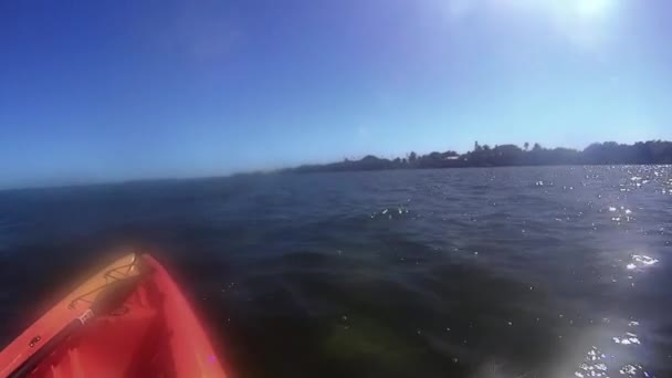 Florida Keys Kayak Yaparken — Stok video