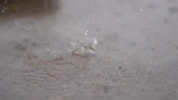 Gouttes Pluie Sur Sol Asphalte — Video