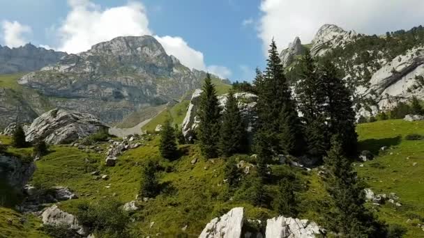 Stěhování Hory Pilatus Slunečného Srpnového Dne Snímek Ozubeného Kola Vlaku — Stock video