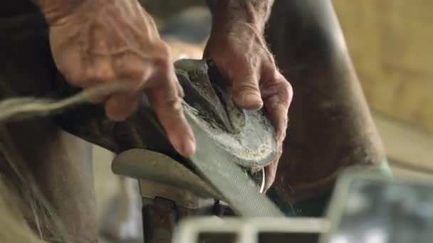 Фермер Выращивает Лошадиные Ботинки Сарае — стоковое видео