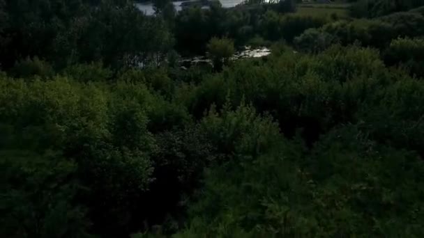 Vue Dégagée Par Drone Europe Pousse Pont Moderne Rivière Lac — Video