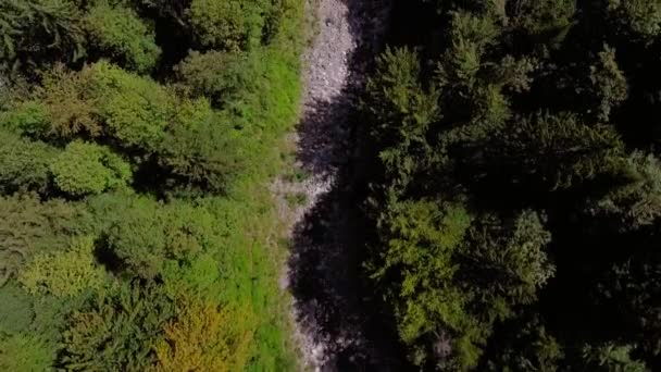 Flygflygning Över Bäck Mellan Skog — Stockvideo