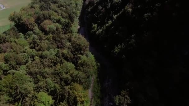 Voo Aéreo Sobre Uma Aldeia Riacho Floresta — Vídeo de Stock