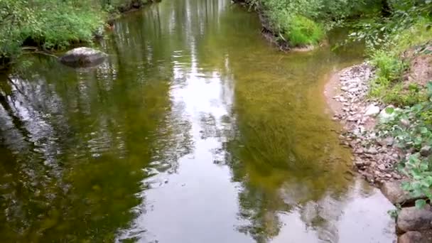 Fluxos Água Para Rio — Vídeo de Stock