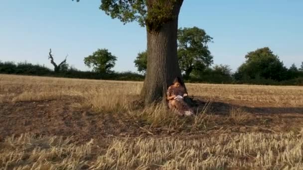 一个年轻女子靠着树 在夕阳西下看书的全景 — 图库视频影像