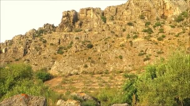 Wajah Batu Besar Pagi Hari Bersinar Emas Andalusia Spanyol — Stok Video