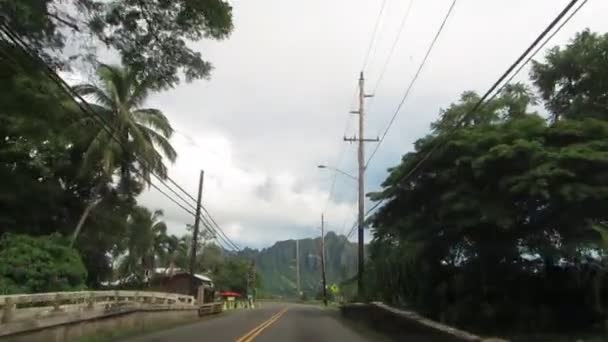 Conduciendo Por Lado Barlovento Isla Pasando Por Waiahole Poi Factory — Vídeo de stock