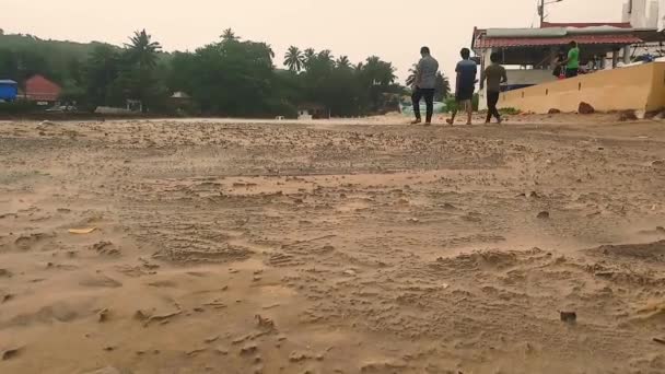 Worm Eye View Beach Goa India Sand Being Carried Wind — Stock Video