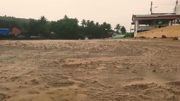 Gusano Vista Una Playa Goa India Donde Arena Está Siendo — Vídeos de Stock