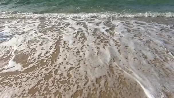 Onde Lente Sulla Spiaggia — Video Stock