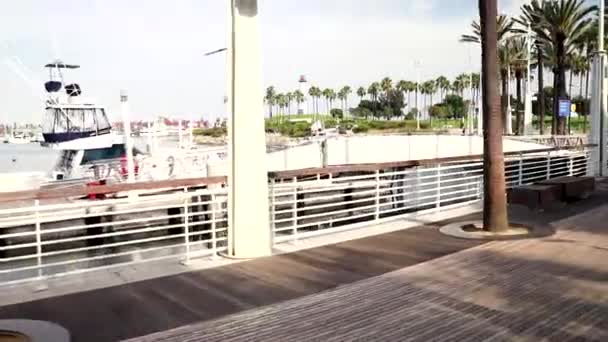 Long Beach Marina Letní Den — Stock video