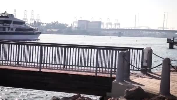 Long Beach Marina Día Verano — Vídeos de Stock