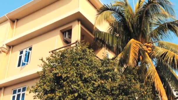 Bungalowhotel Meerdere Verdiepingen Naast Kokospalm — Stockvideo