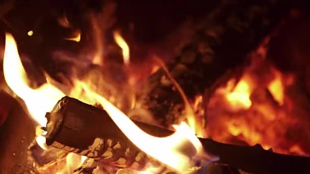 Közelkép Egy Tábortűzről Lángokkal Égő Fatörzsekkel Lassított Felvételen — Stock videók