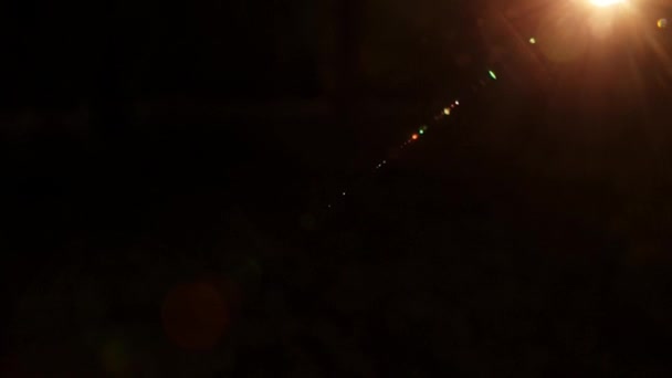 Panshot Com Ligeiro Rolo Câmera Uma Floresta Escura Com Clarão — Vídeo de Stock