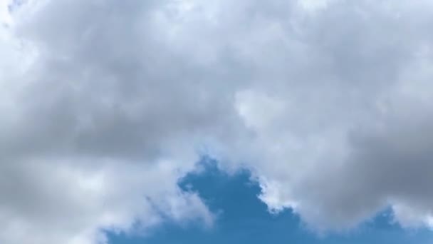 Timelapse Clouds Passing Blue Sky Plane Enters Leaves Frame Multiple — Stock Video