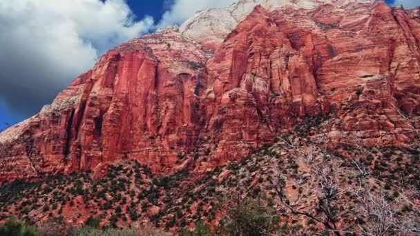 Zion Zoom Pedra Caída Árvore — Vídeo de Stock