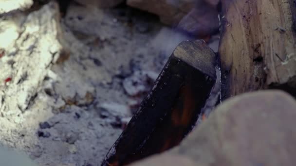 单根木柴在火上燃烧并冒出慢烟 — 图库视频影像