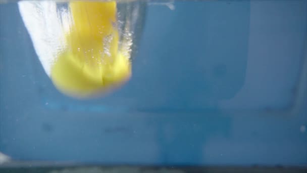 Резиновый Утенок Бросается Воду Медленном Движении — стоковое видео