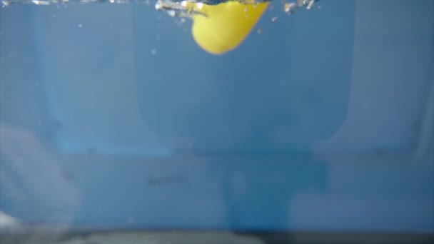 Rubber Ducky Drijft Naar Top Van Het Water — Stockvideo