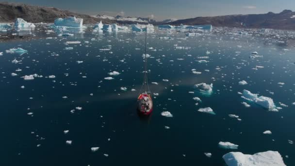 ヨハン ピーターセン フィヨルドの氷山を航行する帆船の空中ビュー East Greenland — ストック動画