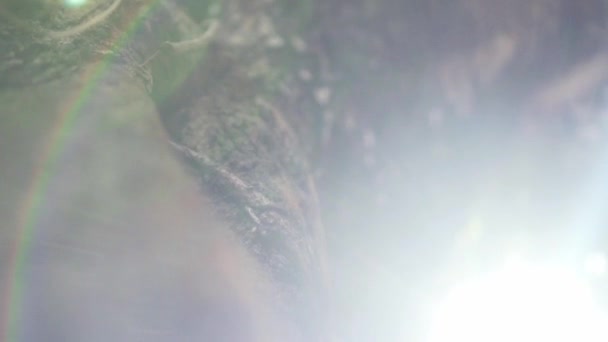 阳光从一棵散落斑斑的大古树上漏出 闪光慢动作 — 图库视频影像