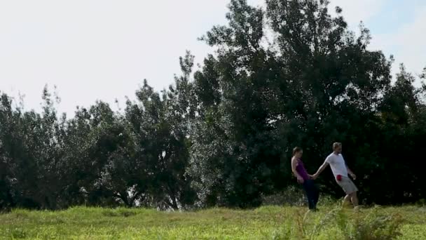 Visão Distorcida Homem Uma Mulher Caminhando Por Campo — Vídeo de Stock