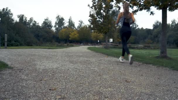 Záběr Krásné Mladé Ženy Běží Jogging Venkovní Parku Při Východu — Stock video