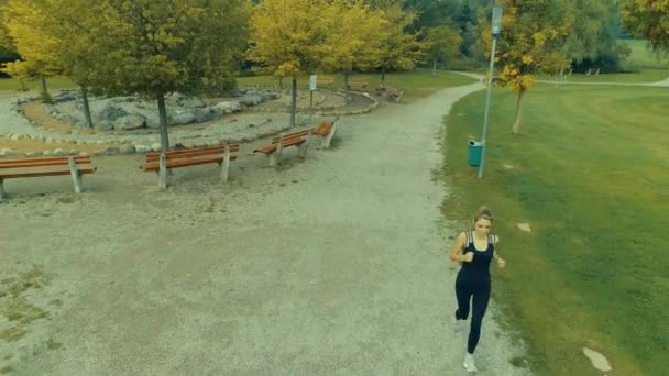 Tiro Belas Mulheres Jovens Correndo Correndo Livre Parque Nascer Sol — Vídeo de Stock