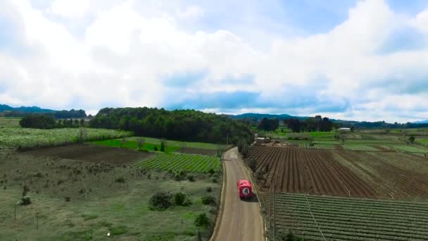 Чудовий Барвистий Краєвид Гватемали Готелями Лісом Сонячним Днем Блакитним Небом — стокове відео
