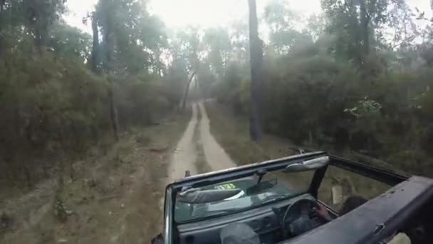 Veículo Safari Que Atravessa Floresta Bambu Reserva Tigre Kanha Madhya — Vídeo de Stock